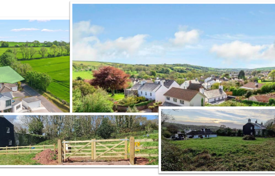 Plot with PP for sale in Chillington photo